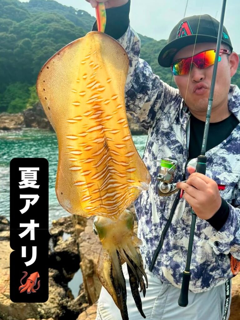 夏アオリ