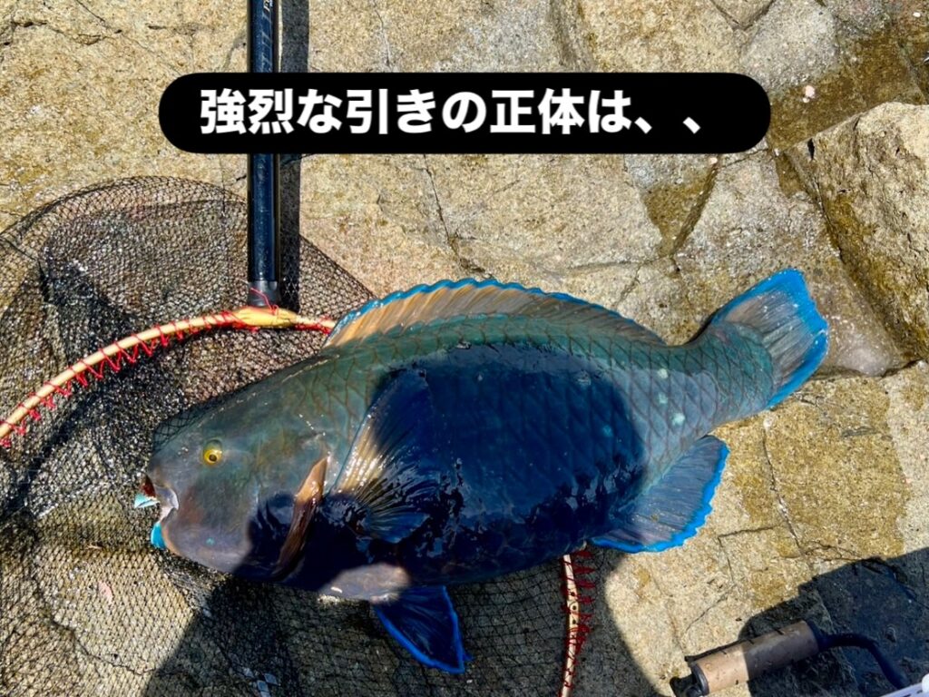強烈な引きの正体は
