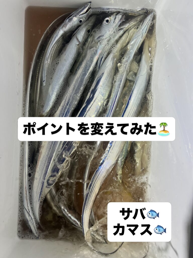 たまにはポイントを変えてみました。
魚探には濃い反応が🐟
ある場所ではサバの群れやカマスの群れ🐟🐟
その周辺にやっぱりタチウオの群れもいました♪
大きな群れではないですが、短時間の拾い釣りできました😊

#タチウオ釣り
#日向タチウオ
#門川タチウオ
#カマスポイント
#タチウオポイント