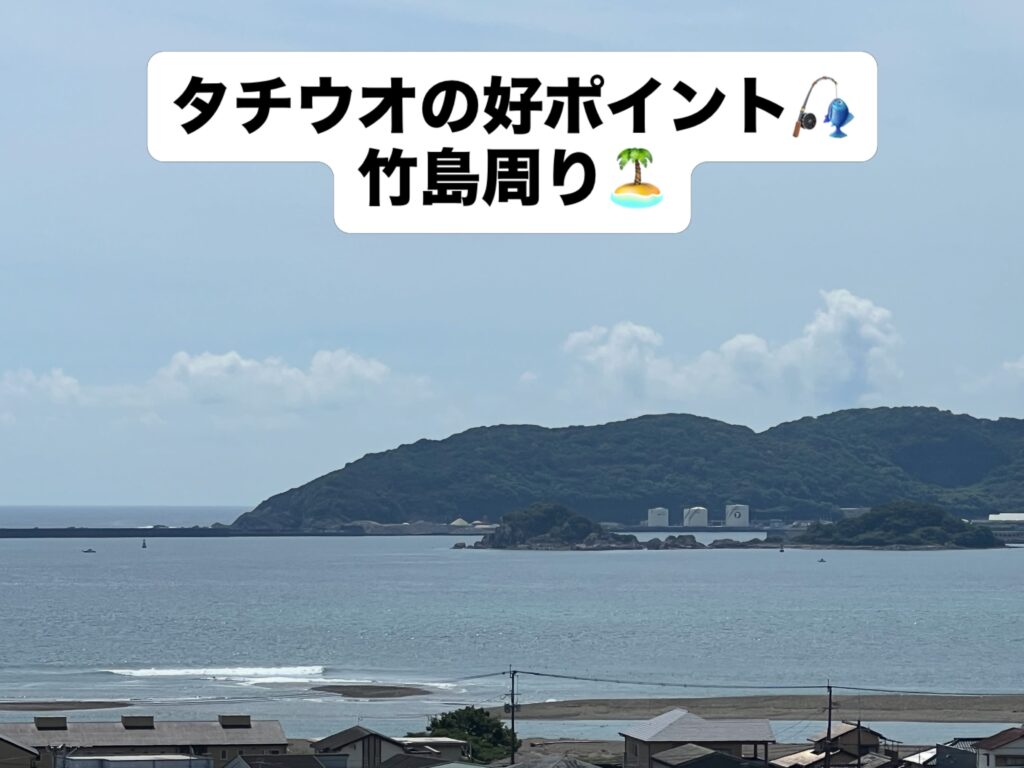 たまにはポイントを変えてみました。
魚探には濃い反応が🐟
ある場所ではサバの群れやカマスの群れ🐟🐟
その周辺にやっぱりタチウオの群れもいました♪
大きな群れではないですが、短時間の拾い釣りできました😊

#タチウオ釣り
#日向タチウオ
#門川タチウオ
#カマスポイント
#タチウオポイント