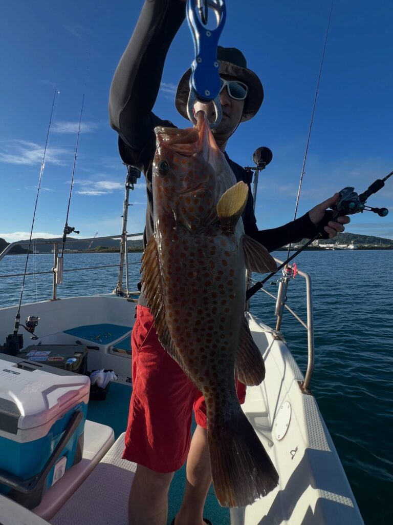 チウオ、根魚、シブダイ行きたいけど、、、
またまたウネリが、、😂
早く収まってほしい。。🌊

この根魚、なんか違う😯
調べてみたらどうやら『キテンハタ』らしい。
特徴は、尾びれの上側1/3にだけ斑点があり、下側2/3は暗色で模様がないというユニークな尾びれ😊珍しい🐟

凄く部分的に雨を降らす雨雲☁️
半夜、夜釣りは夕立ちあるかもですね☂️

#タチウオ
#太刀魚
#タチウオ釣り
#キテンハタ
#珍しい魚
