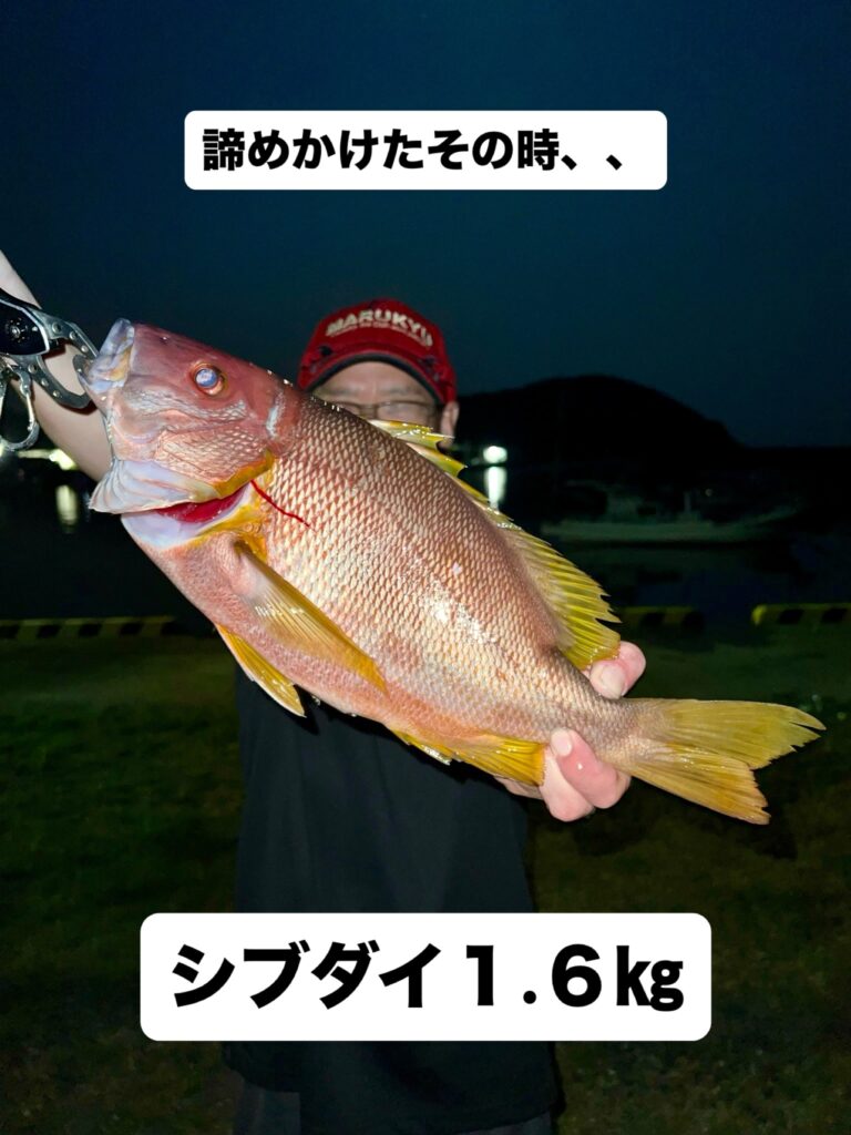 フエフキに翻弄されながら試行錯誤の半夜釣り🎣
諦めかけたその時、不意に襲ってくる激震🐟

シブダイ１.６㎏おめでとうございます㊗️🎈🎉