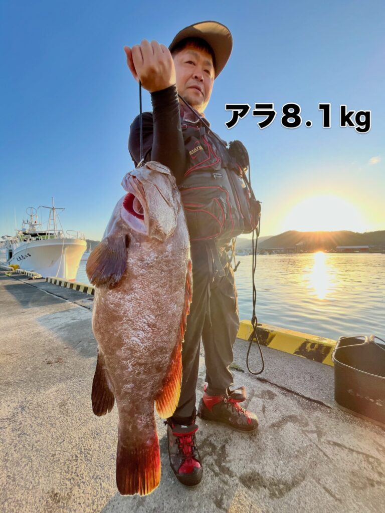 良型シブダイ数枚だけでも凄いのですが、何とアラ８.１kgに、こアラのオマケまで😊

ラッキー✌️ボーイ👦見参‼️

運だけでなく、しっかりとした準備、やる気も流石です👍
それからめげない心❤️もステキでしたね😄
素晴らしい釣果です🎣

#アラ釣り
#クエ釣り
#シブダイ釣り
#門川釣り
#海榮丸