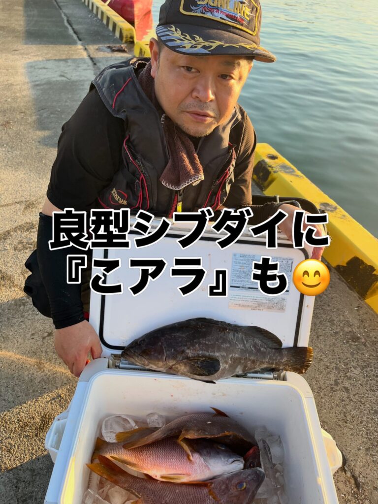 良型シブダイ数枚だけでも凄いのですが、何とアラ８.１kgに、こアラのオマケまで😊

ラッキー✌️ボーイ👦見参‼️

運だけでなく、しっかりとした準備、やる気も流石です👍
それからめげない心❤️もステキでしたね😄
素晴らしい釣果です🎣

#アラ釣り
#クエ釣り
#シブダイ釣り
#門川釣り
#海榮丸